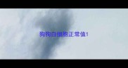 狗狗白细胞正常值