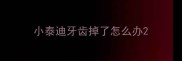 小泰迪牙齿掉了怎么办