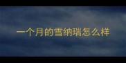 一个月的雪纳瑞怎么样