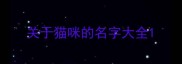 关于猫咪的名字大全