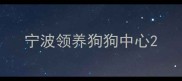 宁波领养狗狗中心