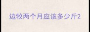边牧两个月应该多少斤