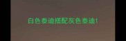 白色泰迪搭配灰色泰迪