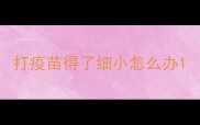 打疫苗得了细小怎么办