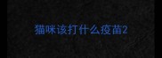 猫咪该打什么疫苗