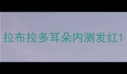 拉布拉多耳朵内测发红