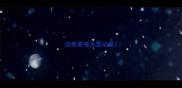边牧要每天运动量