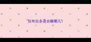 拉布拉多适合睡哪儿