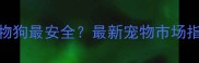 淮南哪里买宠物狗最安全最新宠物市场指南及选购攻略
