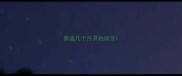 泰迪几个月开始刷牙