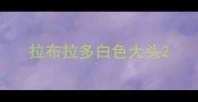 拉布拉多白色大头