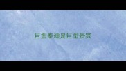 巨型泰迪是巨型贵宾