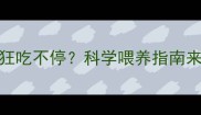 金毛幼犬1个月狂吃不停科学喂养指南来了新手必看