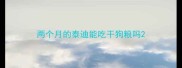两个月的泰迪能吃干狗粮吗