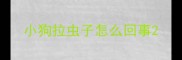 小狗拉虫子怎么回事