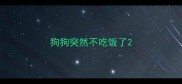 狗狗突然不吃饭了