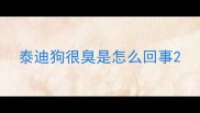 泰迪狗很臭是怎么回事