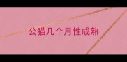 公猫几个月性成熟