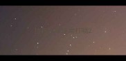 拉布拉多经常打嗝