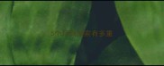 5个月高加索有多重