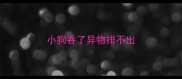 小狗吞了异物排不出