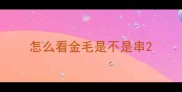怎么看金毛是不是串