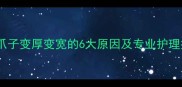 猫咪爪子变厚变宽的6大原因及专业护理指南