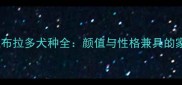 咖啡色拉布拉多犬种全颜值与性格兼具的家庭宠选