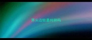 黑头边牧是纯种吗