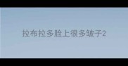 拉布拉多脸上很多皱子