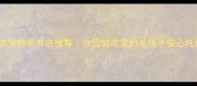 哈尔滨宠物寄养店推荐冰雪城市里的毛孩子安心托付指南