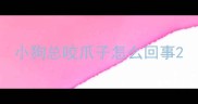 小狗总咬爪子怎么回事