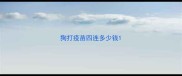 狗打疫苗四连多少钱