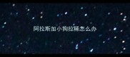 阿拉斯加小狗拉稀怎么办