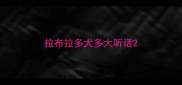 拉布拉多犬多大听话