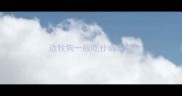 边牧狗一般吃什么食物