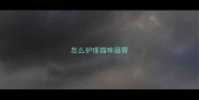 怎么护理猫咪肠胃