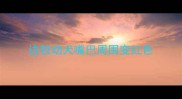 边牧幼犬嘴巴周围变红色