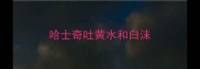 哈士奇吐黄水和白沫