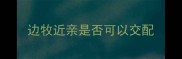 边牧近亲是否可以交配