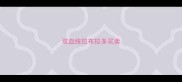 双血统拉布拉多买卖