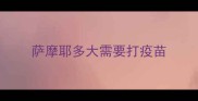 萨摩耶多大需要打疫苗