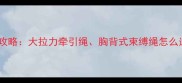 哈士奇遛狗绳选购全攻略大拉力牵引绳胸背式束缚绳怎么选附10款实测推荐