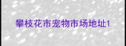 攀枝花市宠物市场地址
