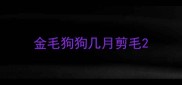 金毛狗狗几月剪毛