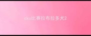 cku比赛拉布拉多犬