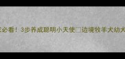 边牧幼犬回家必看3步养成聪明小天使边境牧羊犬幼犬养护全攻略