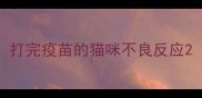 打完疫苗的猫咪不良反应