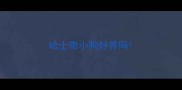 哈士奇小狗好养吗
