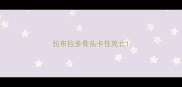 拉布拉多骨头卡住死亡